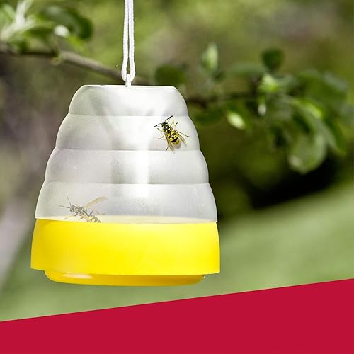 Windhager - Piège à guêpes - E-menage