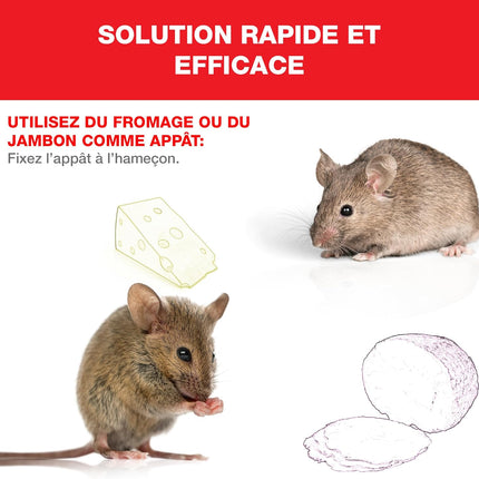 Cage vivante pour rats en bois et métal