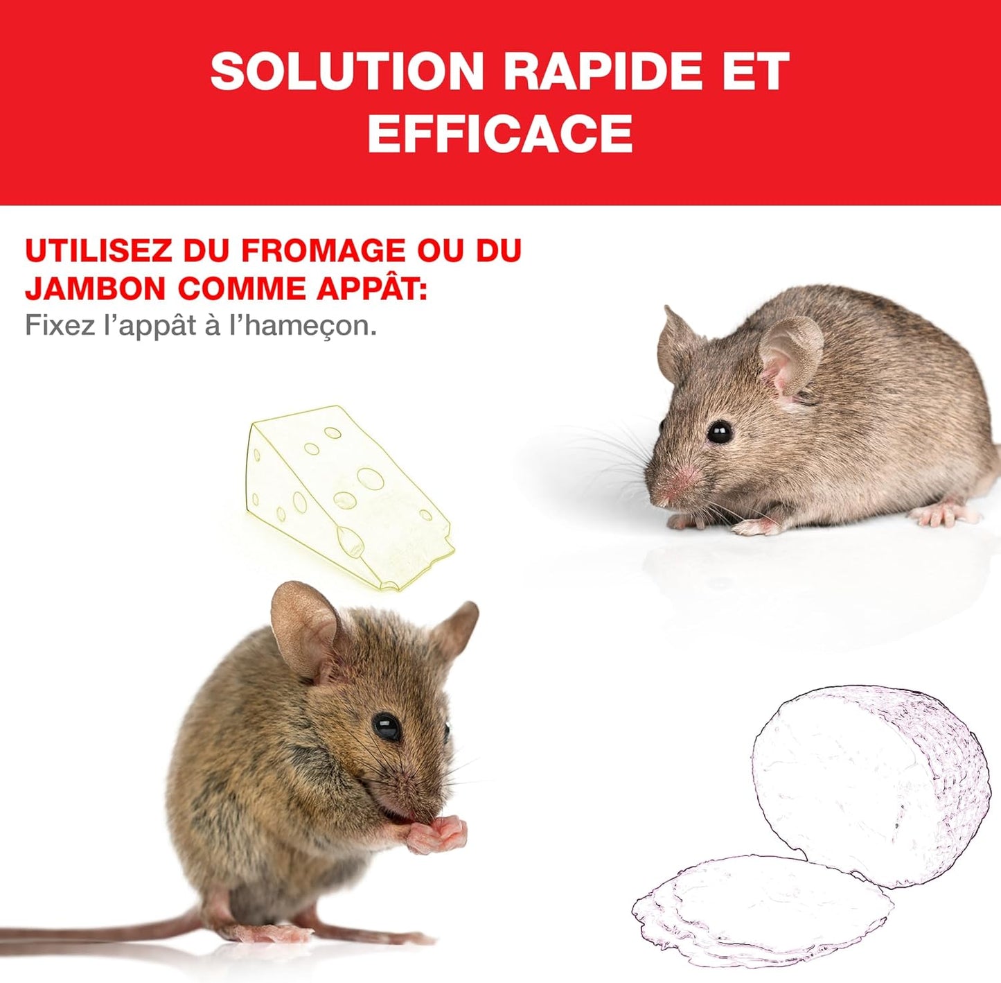 Cage vivante pour rats en bois et métal - E-menage