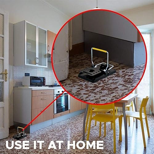 ASPECTEK - 6pcs de Piege à Rat - E-menage