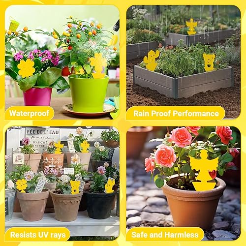 Lot de 50 pièges adhésifs autocollants jaunes - E-menage