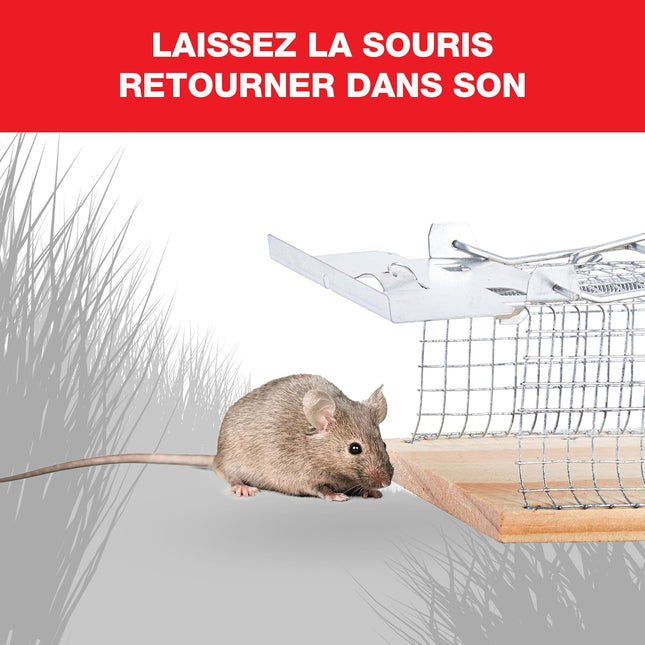 Cage vivante pour rats en bois et métal