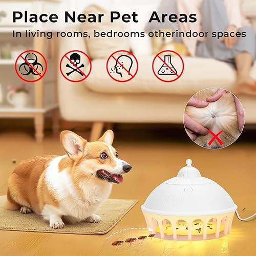 Lot de 2 pièges à punaises de lit - E-menage