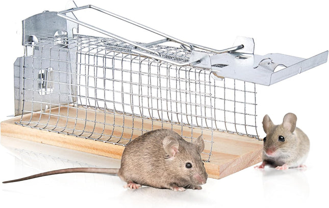 Cage vivante pour rats en bois et métal