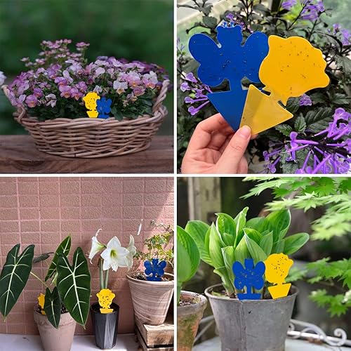 Lot de 48 pièges adhésif sans insecticide - E-menage