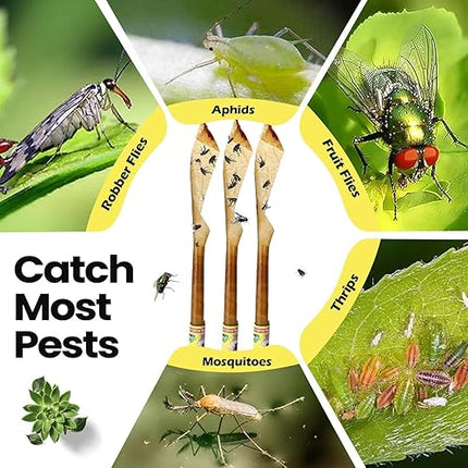 LYPER - Lot de 8 pièges à mouches adhésifs