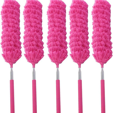 Kit de 5 plumeaux télescopiques