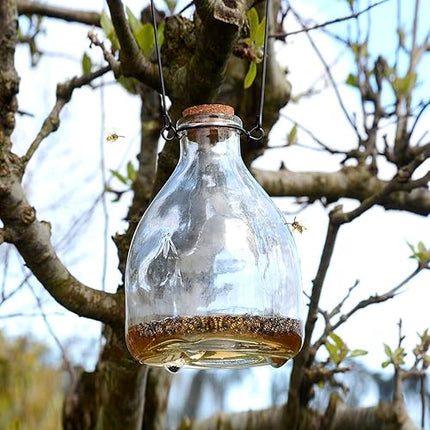 CKB LTD - Lot de 2 pièges à guêpes en verre avec cintre en métal