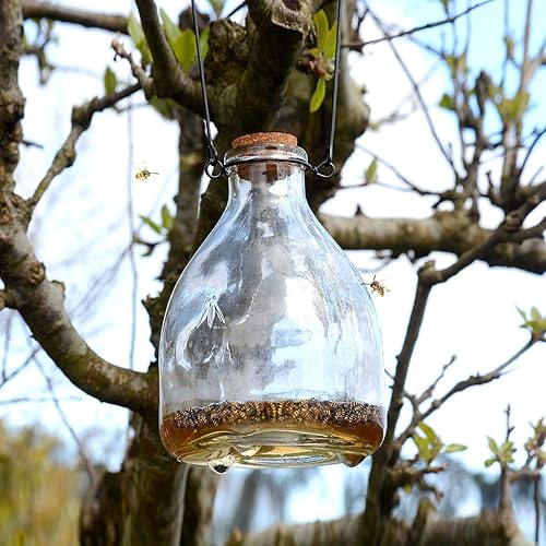 CKB LTD - Lot de 2 pièges à guêpes en verre avec cintre en métal