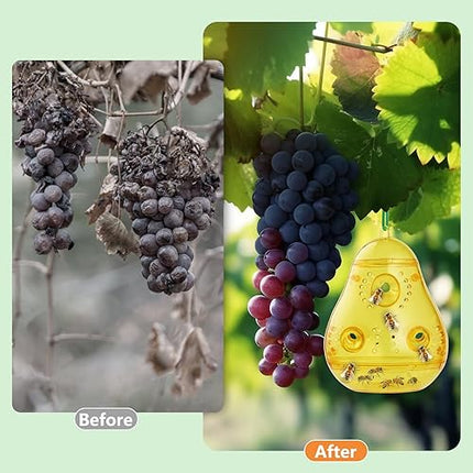 GeeRic  -  Lot de 2 pièges à guêpes