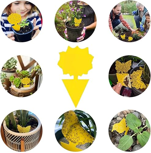 Fanxiya - Lot de 48 Pièges adhésif sans Insecticide - E-menage