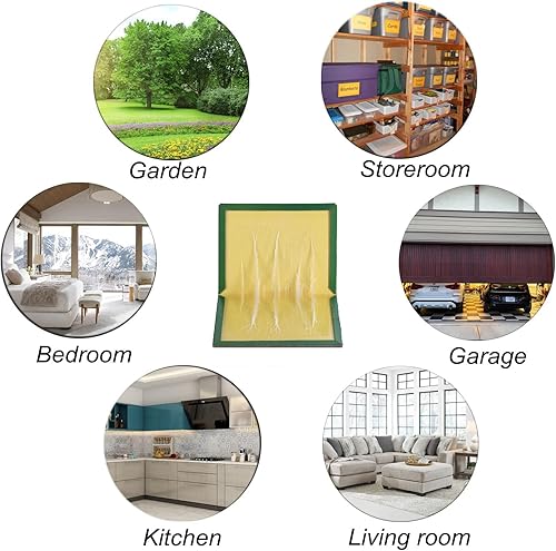 pafnisoin - kit de 4 Pièges à Souris et rats 17 x 24 cm - E-menage