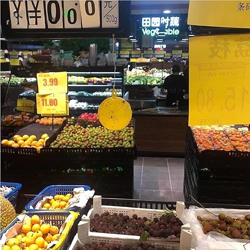 Ataoyus - Lot de 8 pièges à Mouches de Fruits - E-menage