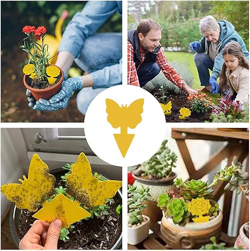 Fanxiya - Lot de 48 Pièges adhésif sans Insecticide - E-menage