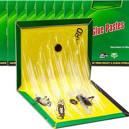 Kit de 10 Pièces de colle piège 31.5 cm x 21 cm - E-menage
