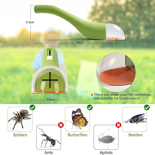 BASVII - Lot de 2 attrape-insectes vivants - E-menage