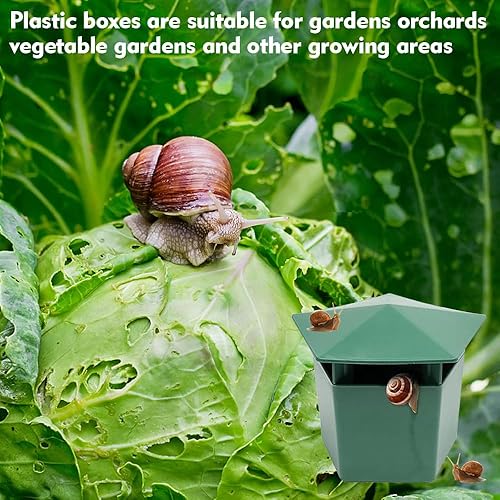 Lot de 6 pièges à limaces - E-menage