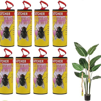 LYPER - Lot de 8 pièges à mouches adhésifs