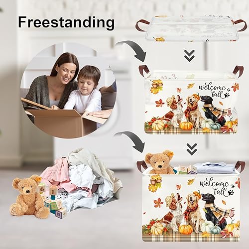 Clastyle - Panier Rangement - E-menage