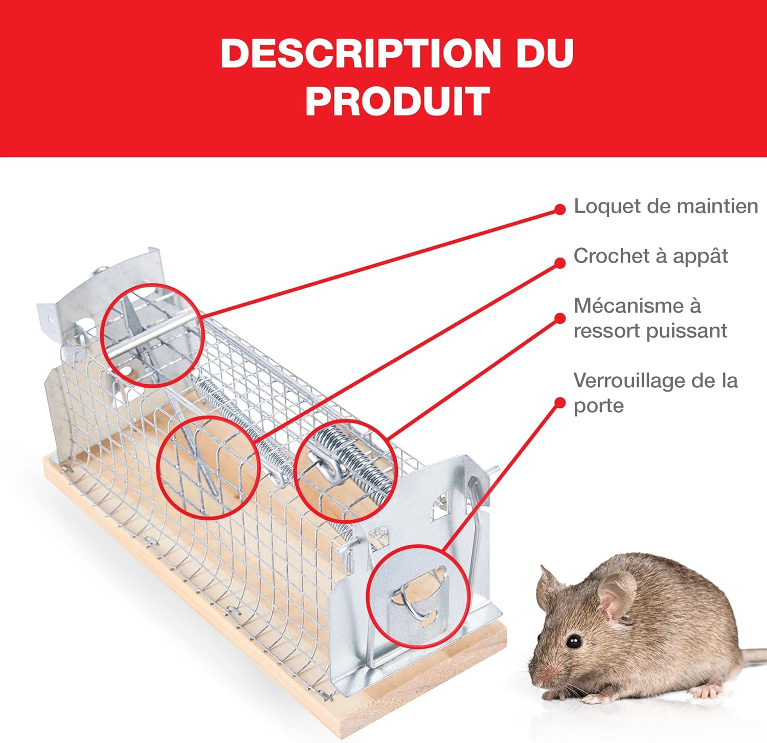 Cage vivante pour rats en bois et métal - E-menage