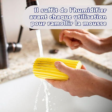 Plumeau  Depoussierant  Lavable