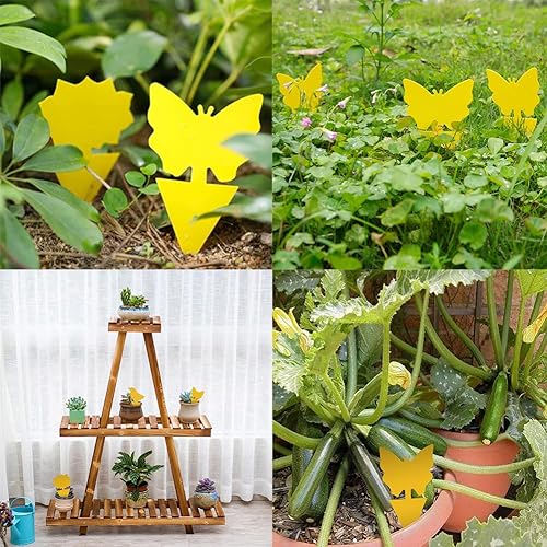 Fanxiya - Lot de 48 Pièges adhésif sans Insecticide - E-menage