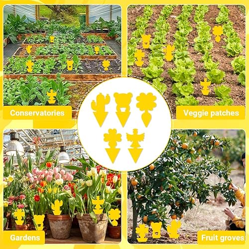 Lot de 50 pièges adhésifs autocollants jaunes - E-menage