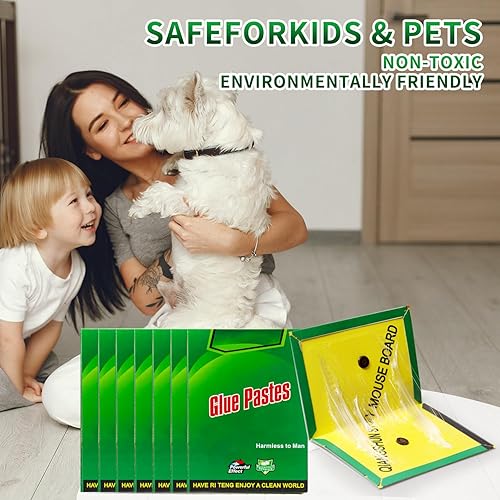 Kit de 10 Pièces de colle piège 31.5 cm x 21 cm - E-menage