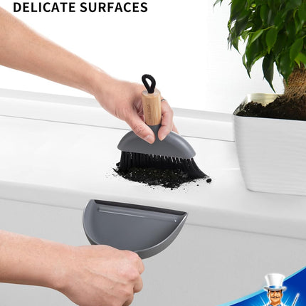 Mini Dustpan and Brush