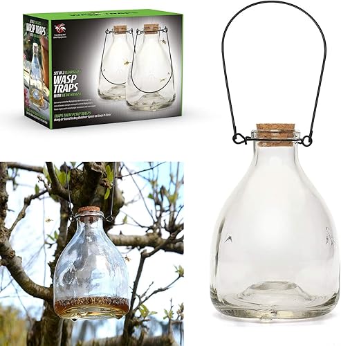 CKB LTD - Lot de 2 pièges à guêpes en verre avec cintre en métal - E-menage