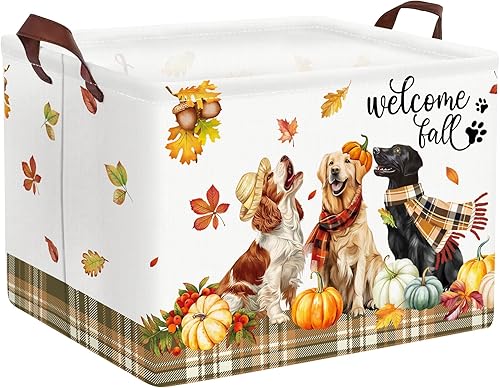 Clastyle - Panier Rangement - E-menage