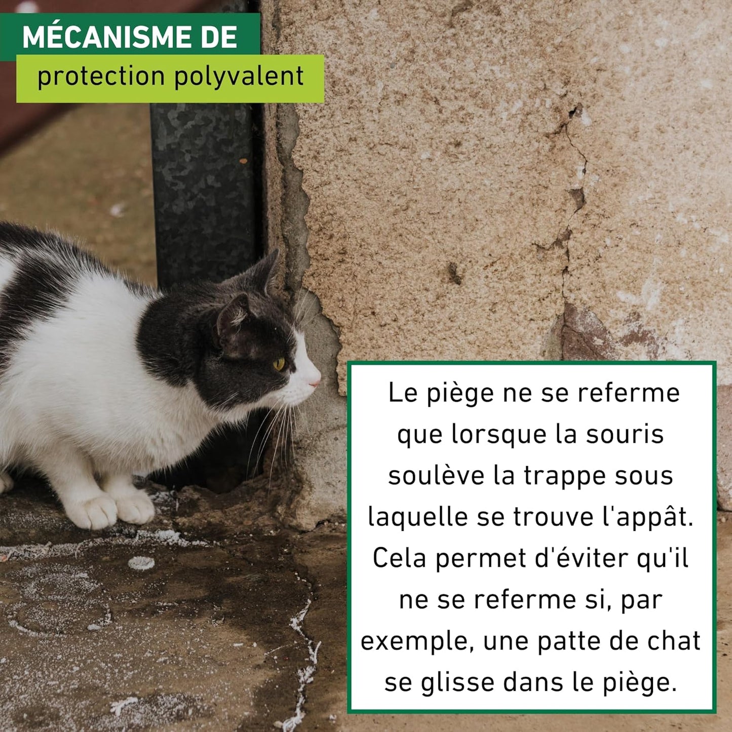 Piège à Souris - E-menage