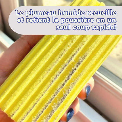Plumeau  Depoussierant  Lavable