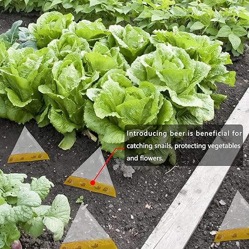 Asfode - Lot de 40 pièges à limaces et escargots de jardin - E-menage