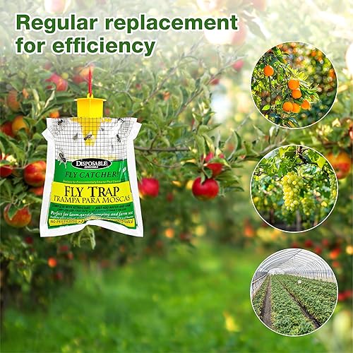 AOOWU - 3 Pièges à moustiques , mouches pour intérieur extérieur - E-menage