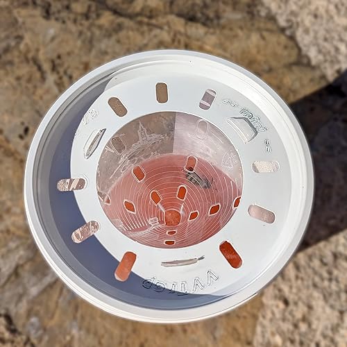 VVTrap - Lot de 2 Piège à frelons asiatiques sélectif Vespa Velutina - E-menage