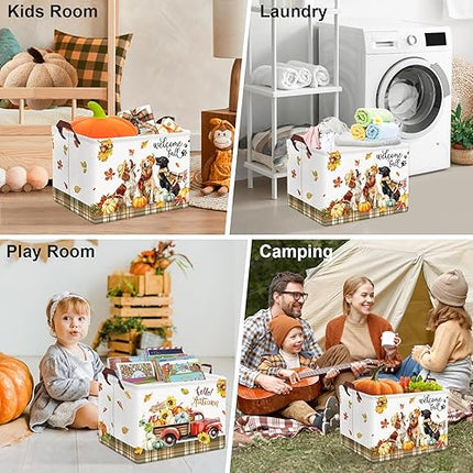 Clastyle - Panier Rangement
