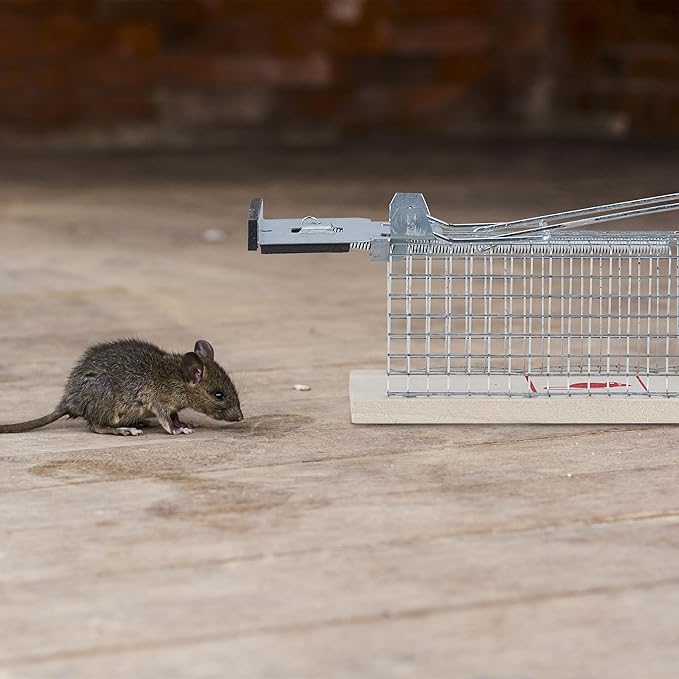 Piège à souris et rat en HLP - E-menage