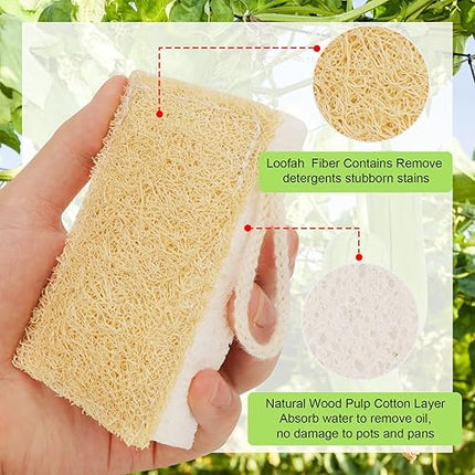 GRBAIN - Lot de 6 Pièces Éponges Cuisine