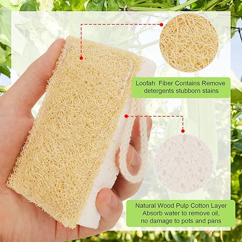 GRBAIN - Lot de 6 Pièces Éponges Cuisine