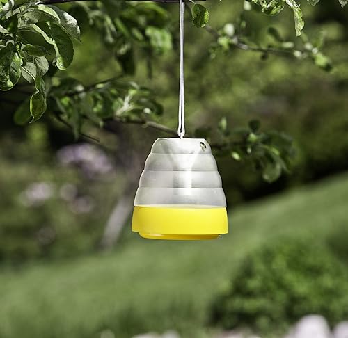 Windhager - Piège à guêpes - E-menage