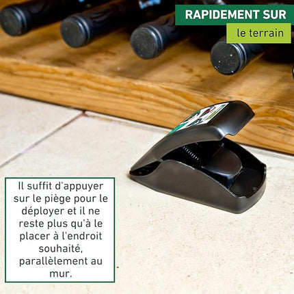 Piège à Souris