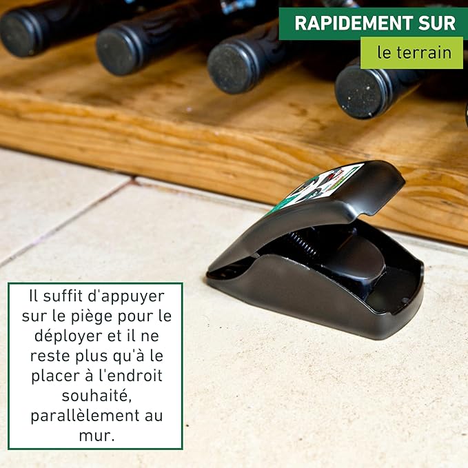 Piège à Souris - E-menage