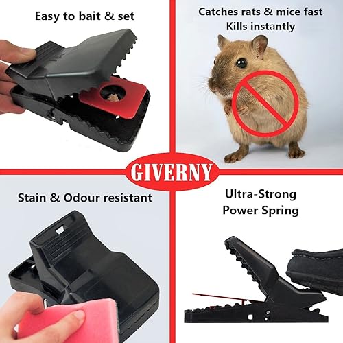 GIVERNY - Boîte de 6Piège à Rat & Souris - E-menage