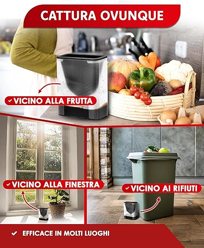 PIC - Lot de 2 Pièges à mouches à fruits - E-menage