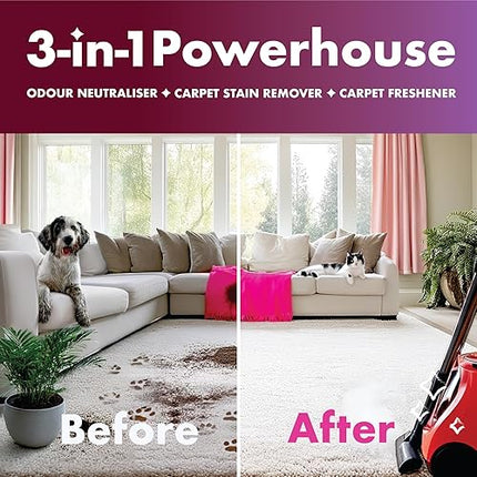 Dirtbusters - Nettoyant 3 en 1 pour tapis et tissus d'ameublement - E-menage