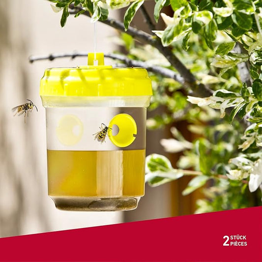 Pièges Duo pour guêpes et mouches, piège à frelons suspendu - E-menage