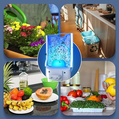 URBZUE - Piège à mouches à prise murale - E-menage