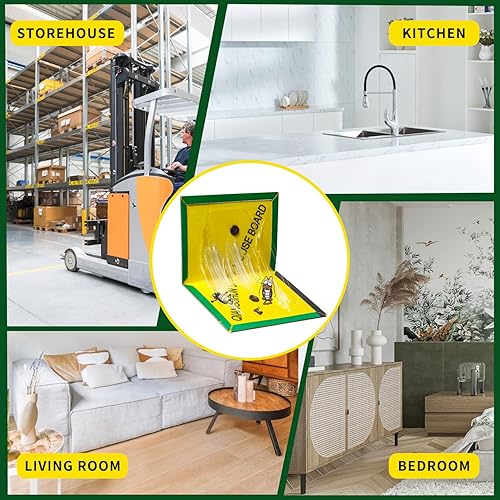 Kit de 10 Pièces de colle piège 31.5 cm x 21 cm - E-menage