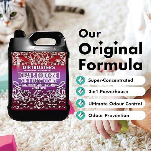 Dirtbusters - Nettoyant 3 en 1 pour tapis et tissus d'ameublement - E-menage